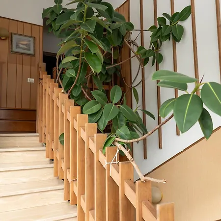 Cinzia House Πανσιόν Vasto