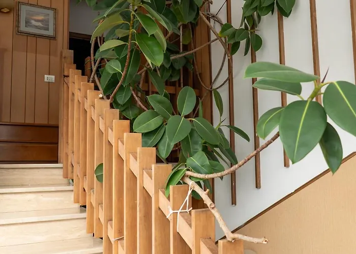 Cinzia House בית הארחה ואסטו